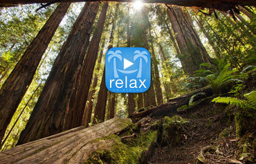 Learn More About Nature Relaxation On-Demand & Try Free