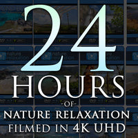 "24 Hours of Nature" Video Download Bundle in 4K / HD