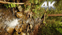 "Big Sur in 4K" 8 Spectacular Vertical-Oriented 4K Nature Scenes - Bundle