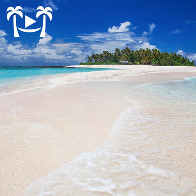 "A Day In Paradise" Fiji Islands 4 HR Dynamic Pure Nature Experience