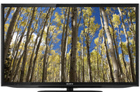 "Autumn Forest Relaxation" 1 HR Dynamic Nature Video 1080p