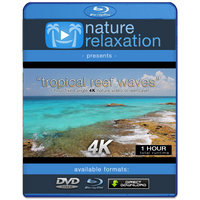 "Tropical Reef Waves" Cancun 1 HR Still 4K Nature Relaxation Video