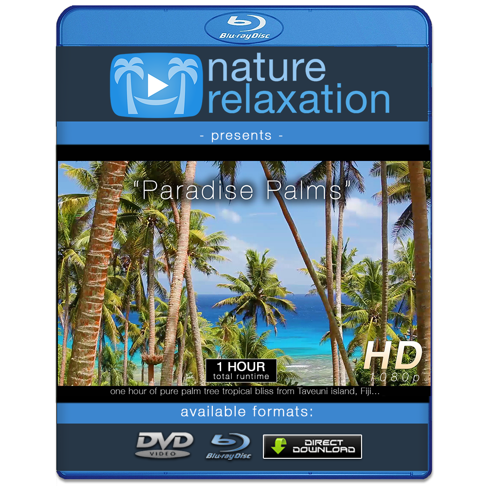 "Paradise Palms" Tropical Fiji Static Nature Video Scene