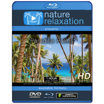 "Paradise Palms" Tropical Fiji Static Nature Video Scene