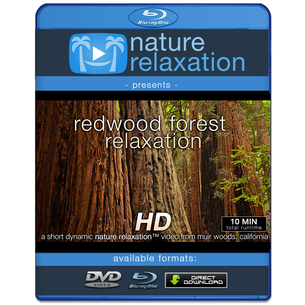 "Redwood Forest Relaxation" Healing  10 Minute Nature Relaxation Video HD 1080p