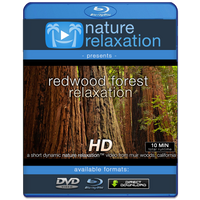 "Redwood Forest Relaxation" Healing  10 Minute Nature Relaxation Video HD 1080p
