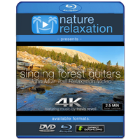 "Singing Forest Guitars" Sierra Creeks 2 Miin Relaxing 4K Music Video 432HZ