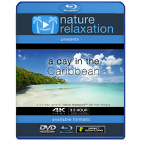 "A Day in the Caribbean" Antigua 4K 3.5 HR Dynamic Nature Video