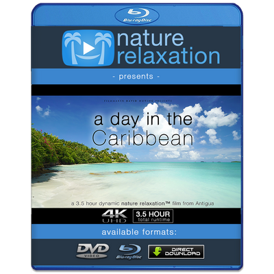 "A Day in the Caribbean" Antigua 4K 3.5 HR Dynamic Nature Video