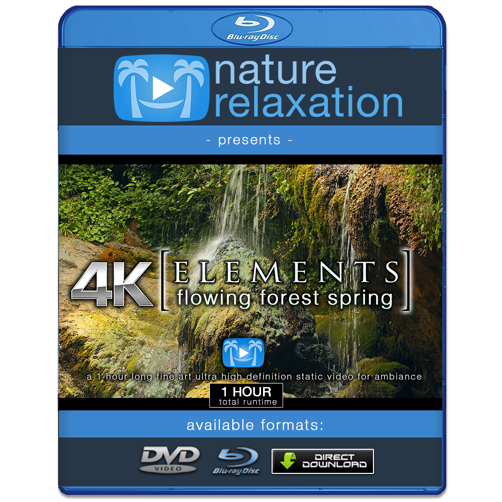 "Flowing Forest Spring" 1 HR  Static Nature Video 4K