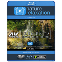 "Flowing Forest Spring" 1 HR  Static Nature Video 4K