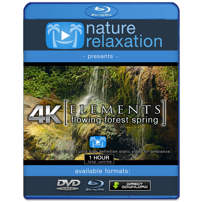 "Flowing Forest Spring" 1 HR  Static Nature Video 4K
