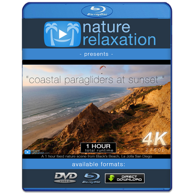 "Coastal Paragliders at Sunset" 1 HR Real-Time Static Scene 4K