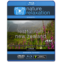 "Restful Rain in New Zealand" 1 HR Dynamic 4K Ambient Nature Film
