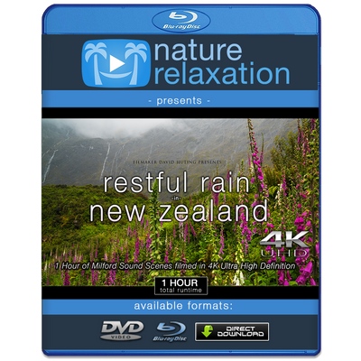 "Restful Rain in New Zealand" 1 HR Dynamic 4K Ambient Nature Film