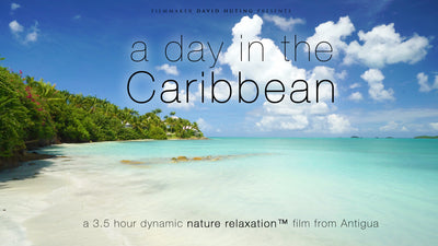 "A Day in the Caribbean" Antigua 4K 3.5 HR Dynamic Nature Video