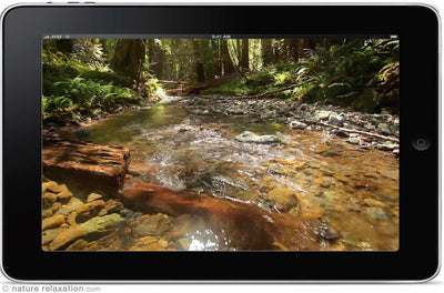 "Glistening Forest Stream" Static Nature Relaxation Video HD