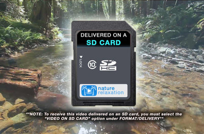 "Glistening Forest Stream" Static Nature Relaxation Video HD