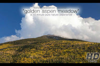 "Golden Aspen Meadow"  10 MIN Healing Music Video HD