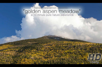 "Golden Aspen Meadow"  10 MIN Healing Music Video HD