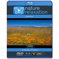 "Superbloom Soaring" Spring Bloom 1 Hour Aerial Film + Music 4K
