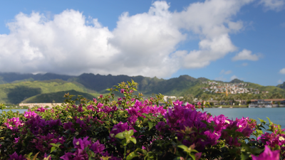 "Healing Hawaii II: Oahu" 1 HR Dynamic 4K UHD Nature Video