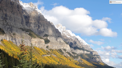 "Golden Mountain Paradise" 1 HR Dynamic 4K UHD Nature Video