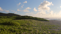 "Healing Hawaii II: Oahu" 1 HR Dynamic 4K UHD Nature Video