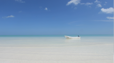 "Blue Horizons" 1 HR 4K Nature Relaxation Color Therapy Video