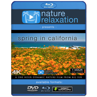 "Spring in California" 1 HR Dynamic 4K Nature Film (2020)