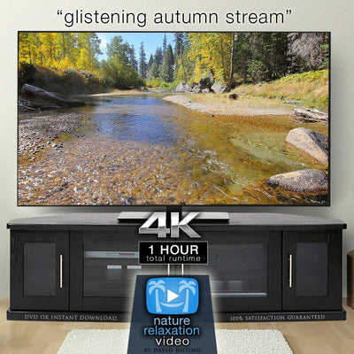 "Glistening Autumn Stream" 1 HR Static Nature Video 4K