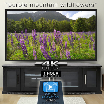 "Purple Mountain Wildflowers" 1 HR  Static Nature Video New Zealand 4K