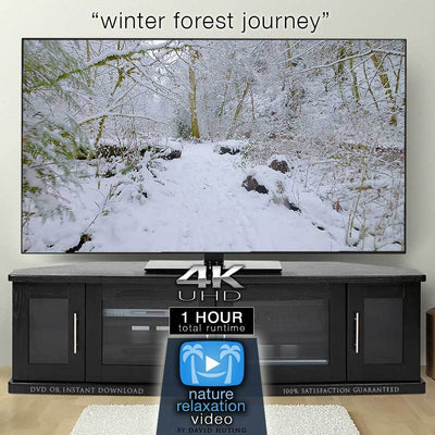 "Winter Forest Journey" 4K Dynamic 1-Hour Nature Relaxation Film