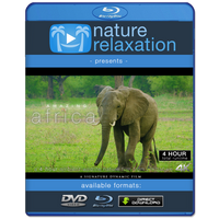 "Amazing Africa" Zimbabwe 4 Hour Dynamic Nature Wildlife Video 4K