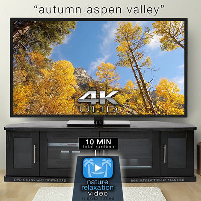 "Autumn Aspen Valley Relaxation" 10 MIN Music + Nature Video 4K