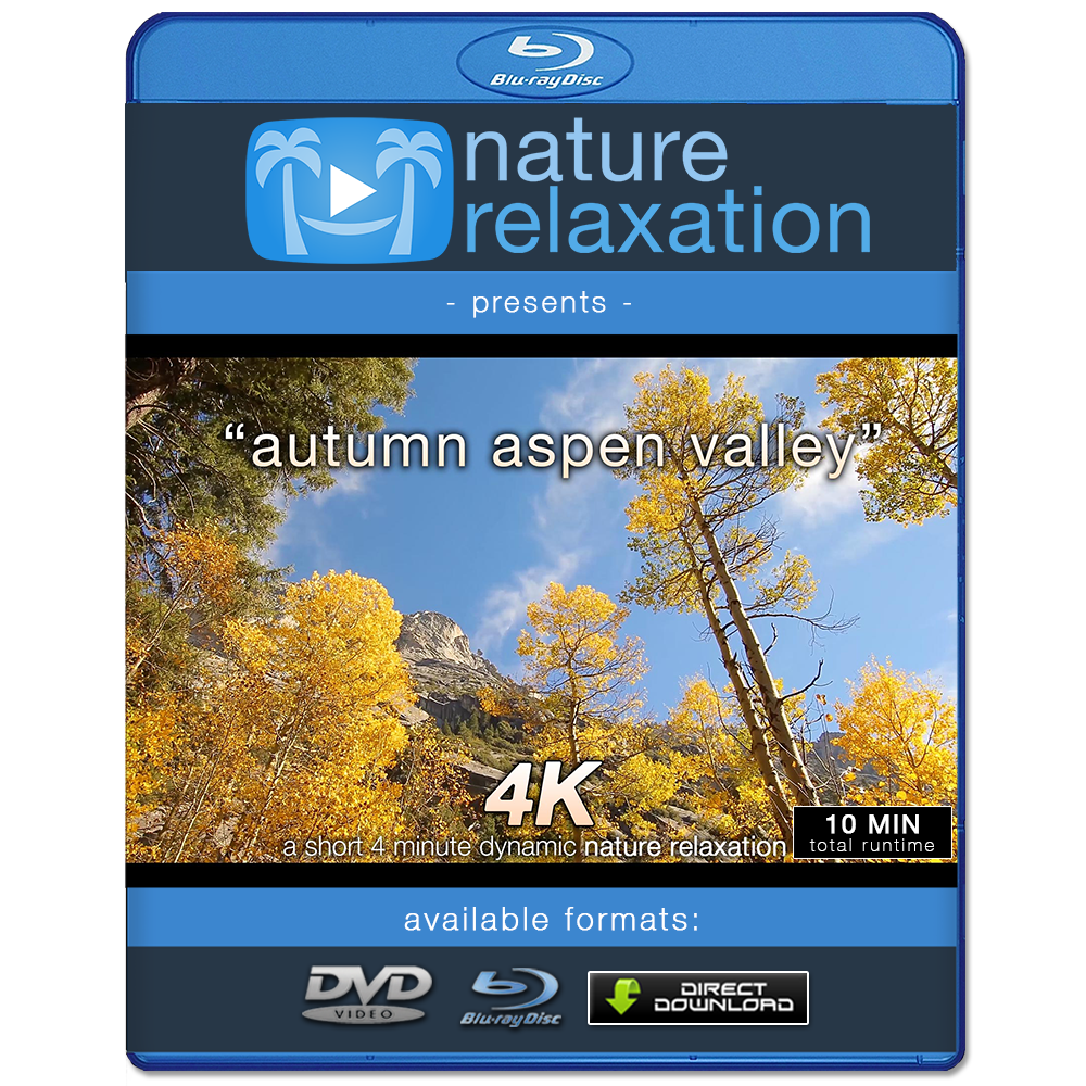 "Autumn Aspen Valley Relaxation" 10 MIN Music + Nature Video 4K