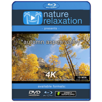 "Autumn Aspen Valley Relaxation" 10 MIN Music + Nature Video 4K