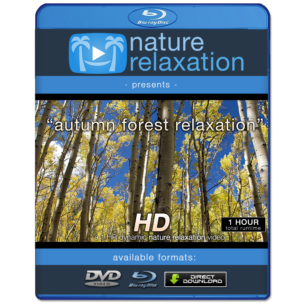 "Autumn Forest Relaxation" 1 HR Dynamic Nature Video 1080p