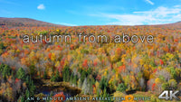 "Autumn From Above" 6 Minute Short Drone Film in 4K UHD