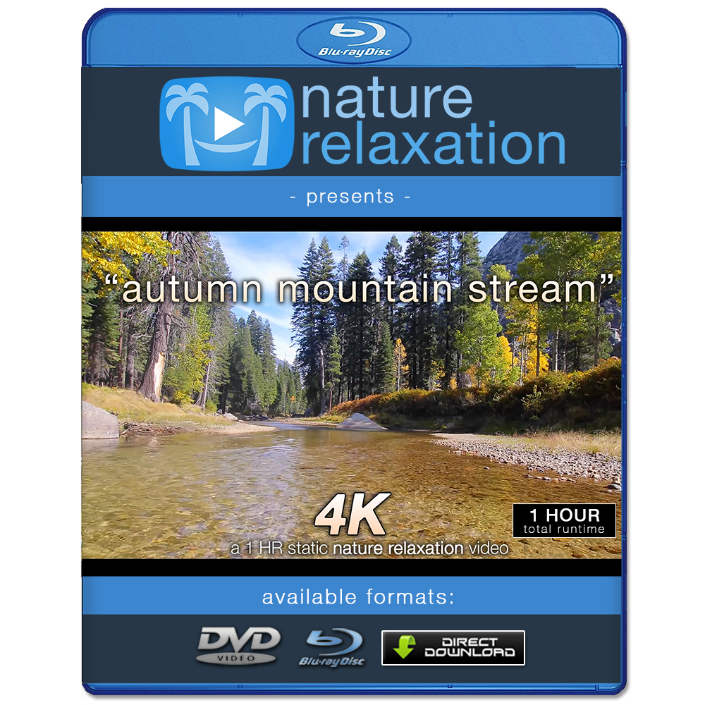 "Autumn Mountain Stream" 1 HR  Static Nature Video 4K
