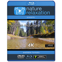 "Autumn Mountain Stream" 1 HR  Static Nature Video 4K