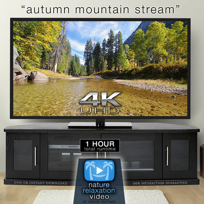 "Autumn Mountain Stream" 1 HR  Static Nature Video 4K