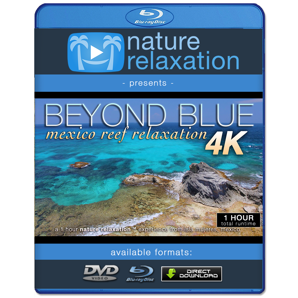 "Beyond Blue" Mexico Reef 1 Hour 4K Nature Relaxation Video