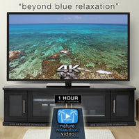 "Beyond Blue" Mexico Reef 1 Hour 4K Nature Relaxation Video
