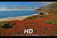 "The California Coast" HD Nature Relaxation Video 1 Hour 1080p
