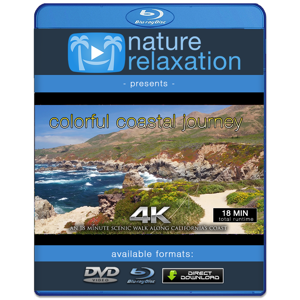 "Colorful Coastal Journey" 18 MIN Dynamic Walk & Flight in 4K