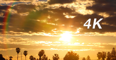 "Coastal City Sunrise" 20 MIN 4K Nature Relaxation Video