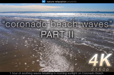 "Coronado Beach Waves" Two 1 HR Static Nature Relaxation Videos