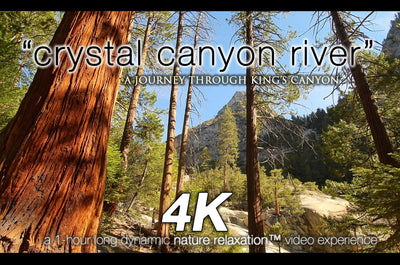 "Crystal Canyon River" 1 HR Dynamic 4K UHD Nature Video