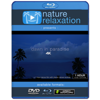"Dawn in Paradise" 4K 1 Hour Dynamic Nature Film